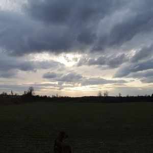 Meet your Posher, Marlene